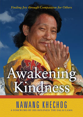 Light of Consciousness